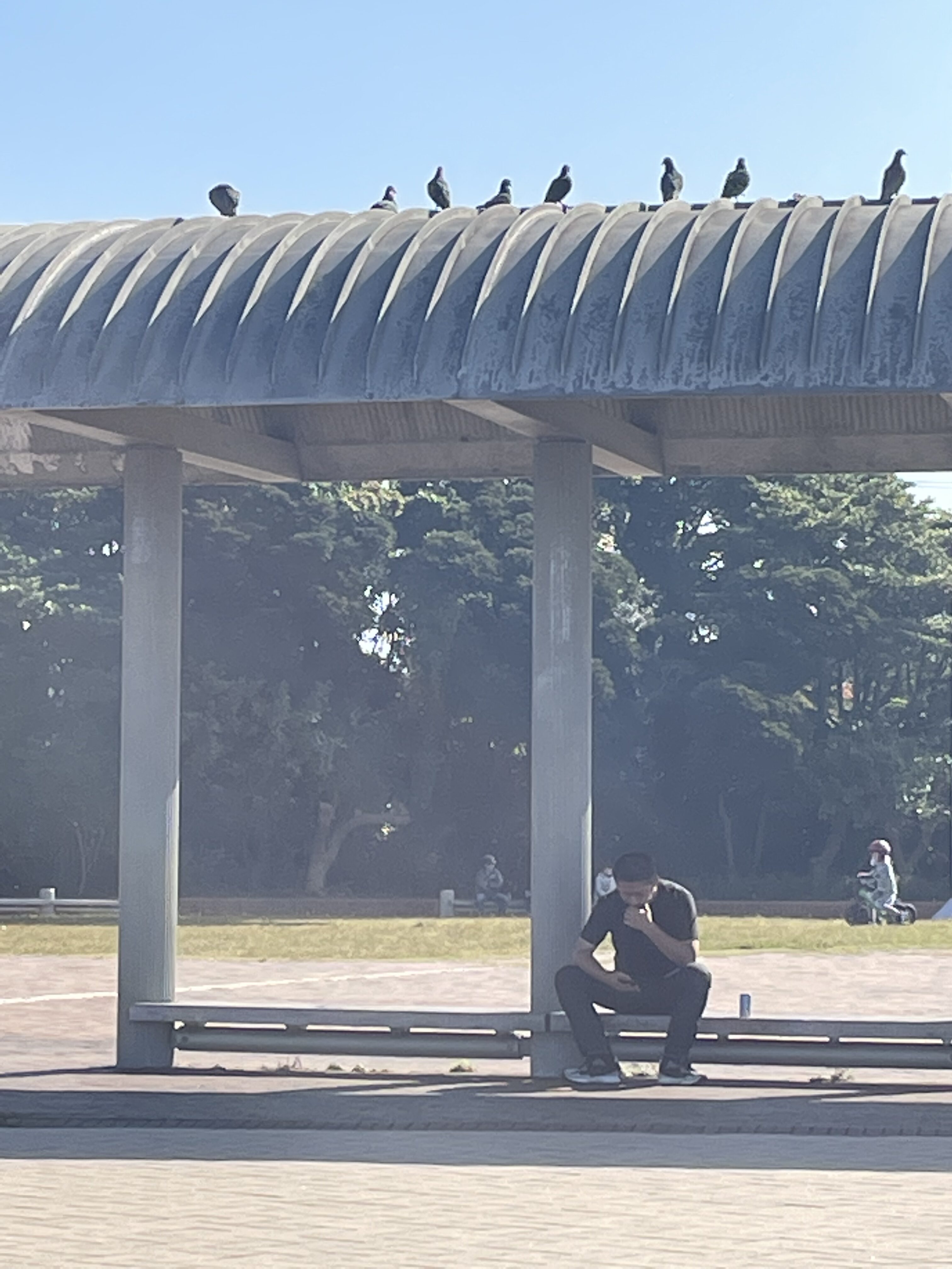 こつのアバター